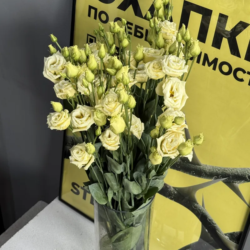 Эустома желтая  — купить в Казани, STEMS