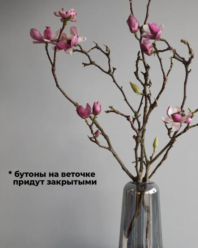 Магнолия [охапка] — купить в Казани, STEMS