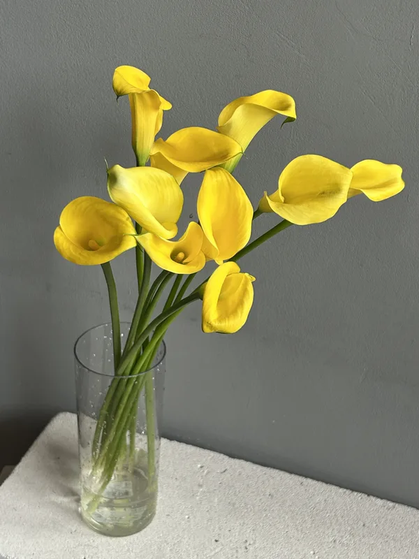 Каллы желтые — купить в Казани, STEMS