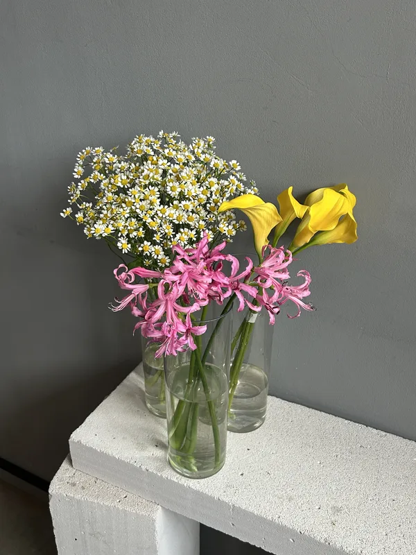 Сет №14