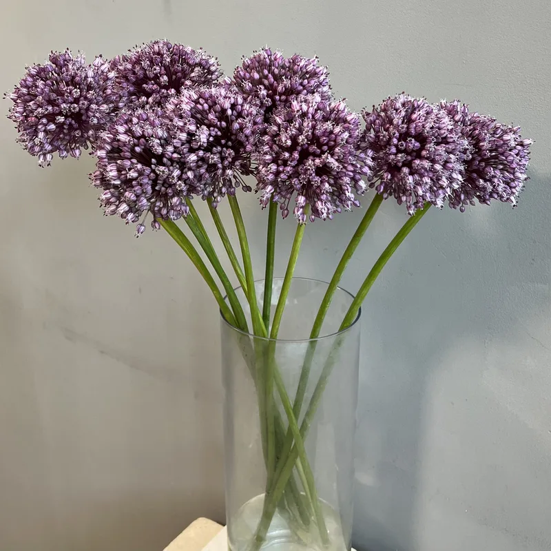 Аллиум — купить в Казани, STEMS