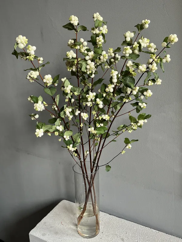 Ветви Снежной ягоды — купить в Казани, STEMS