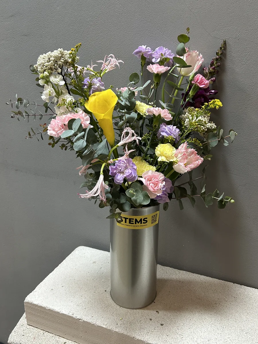 66. — купить в Казани, STEMS