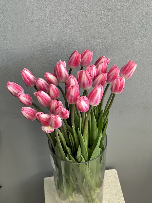 Тюльпаны LIGHTPINK — купить в Казани, STEMS