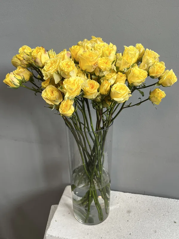 Роза кустовая желтая — купить в Казани, STEMS