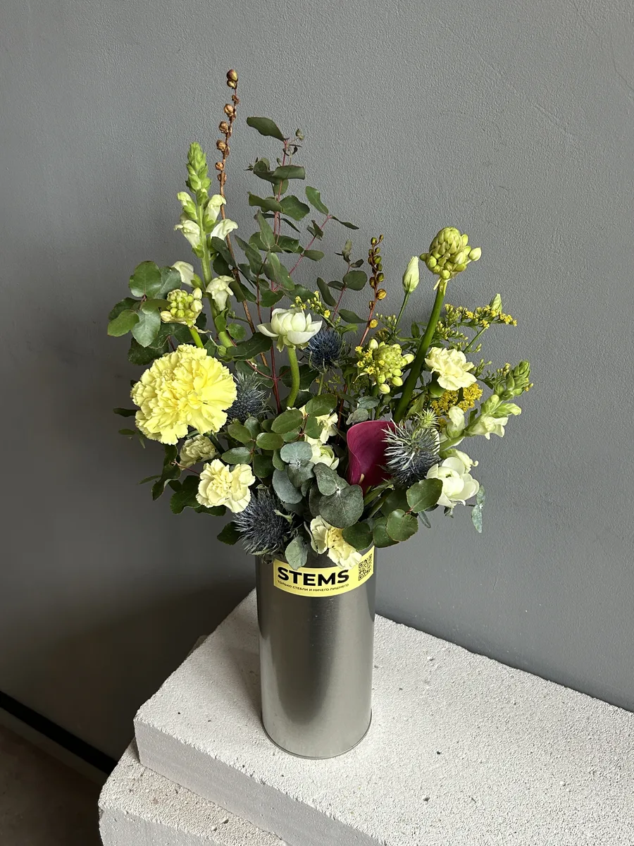 51. — купить в Казани, STEMS