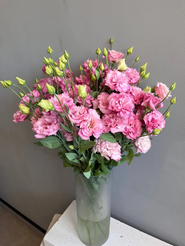 Эустома волнистая розовая — купить в Казани, STEMS