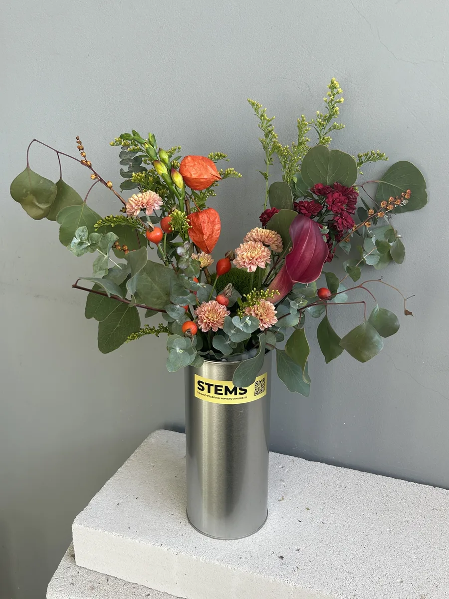 63. — купить в Казани, STEMS