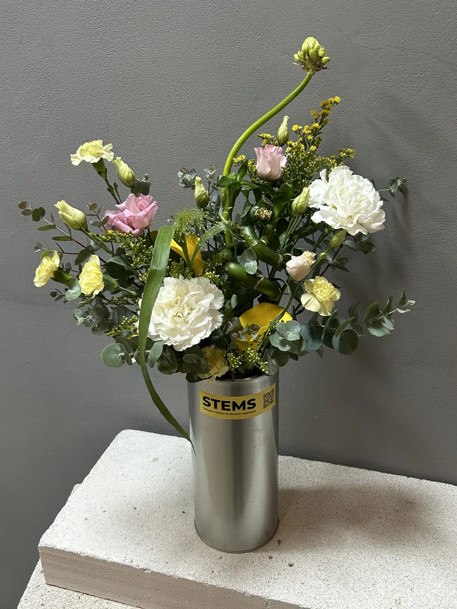 64. — купить в Казани, STEMS