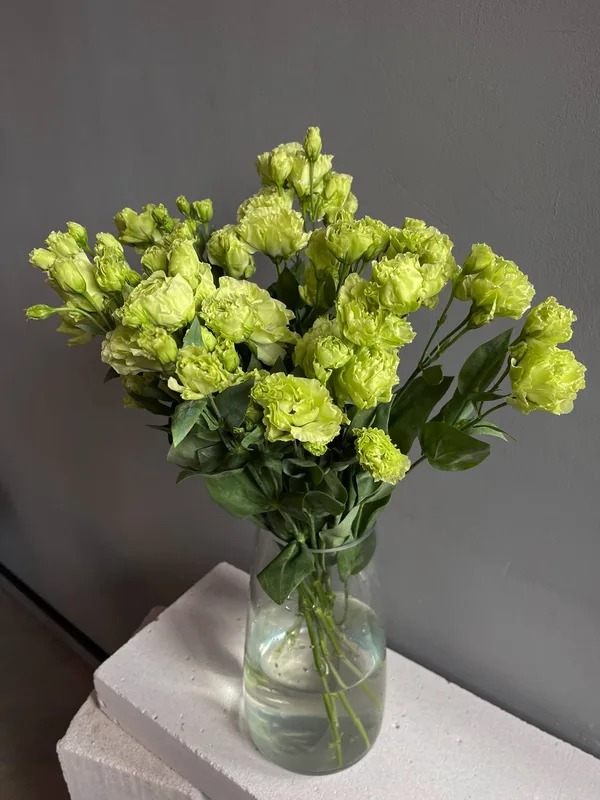 Эустома зеленая — купить в Казани, STEMS