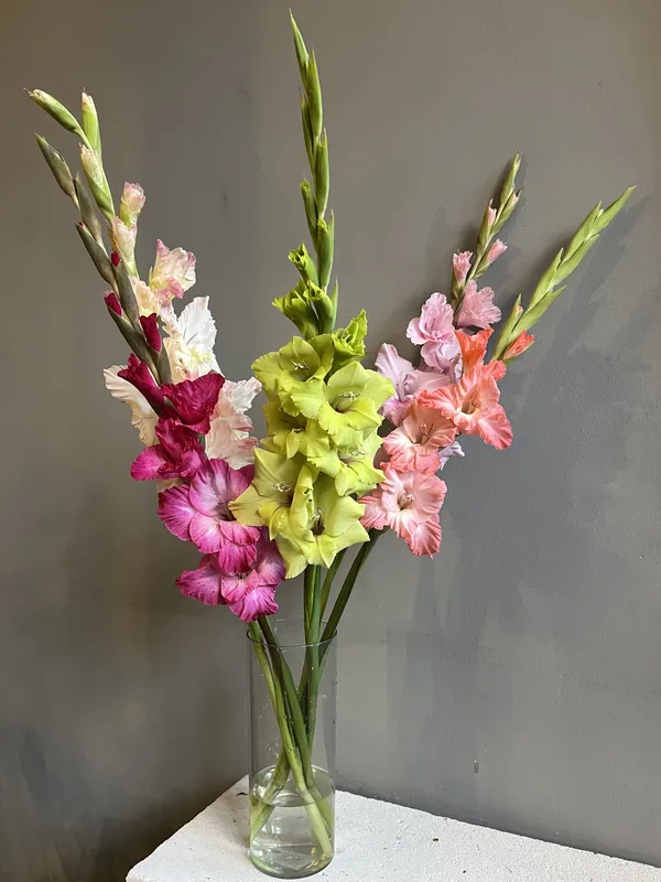 Гладиолус [Микс] — купить в Казани, STEMS